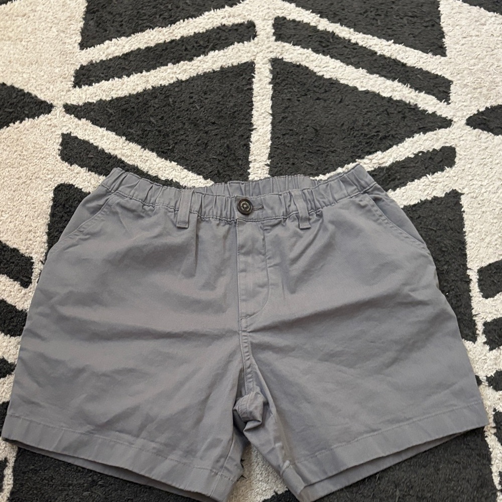 Men’s Gray chubbies Casual Shorts